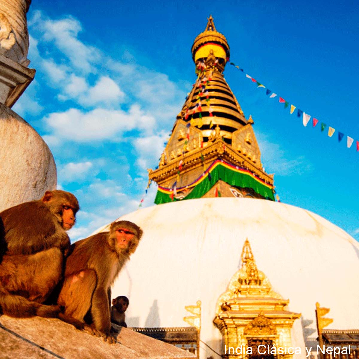 CIRCUITOS TERRESTRES INDIA CLÁSICA Y NEPAL