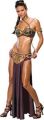 Star Wars Secret Wishes Princess Leia Slave Costume, Medium